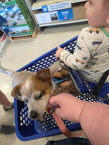 Trussville Promenade photo 2