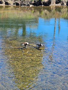 Riverwalk Shops photo 2