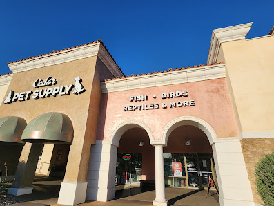 The Shoppes at Zion photo 1