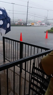 Weslayan Plaza photo 3