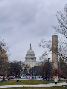 Capital Gallery photo 2