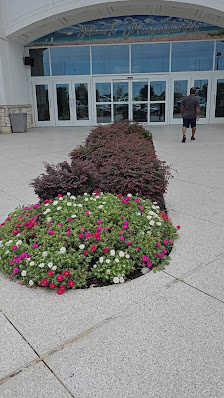 Louisiana Boardwalk photo 3