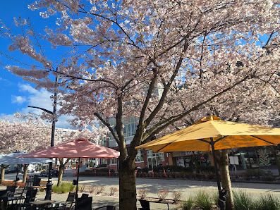 Willoughby Town Centre photo 2