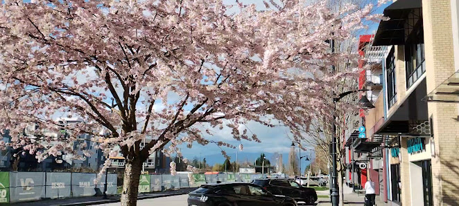 Willoughby Town Centre photo 3