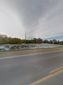 Mallard Park Summer Market photo 2