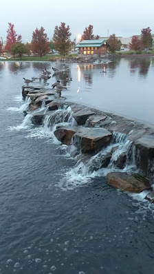 Westminster Promenade photo 3