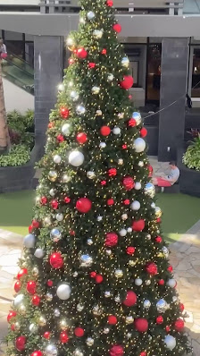 Ala Moana Plaza photo 3