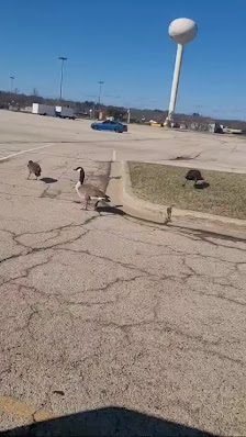 CherryVale Mall photo 2