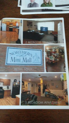 Northern Mini Mall photo 1