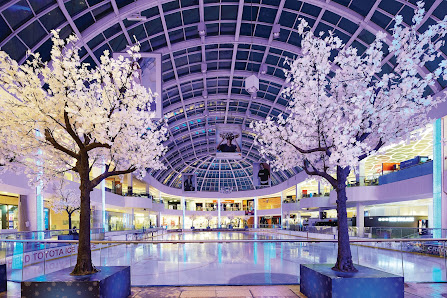 Pacific Mall Edmonton photo 5