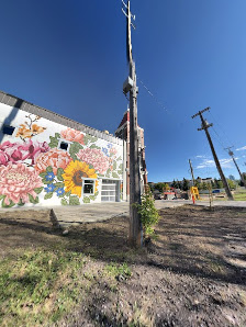 Manchester Square Edmonton photo 6