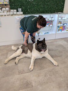 Westwood Plaza photo 2