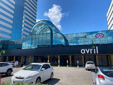 Place de la Cité photo 1