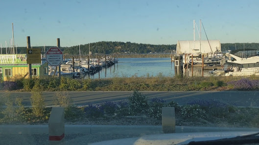 Discovery Harbour Marina K Dock photo 2
