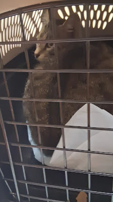 Wanamaker Square photo 3