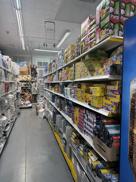 TOYLAND INC