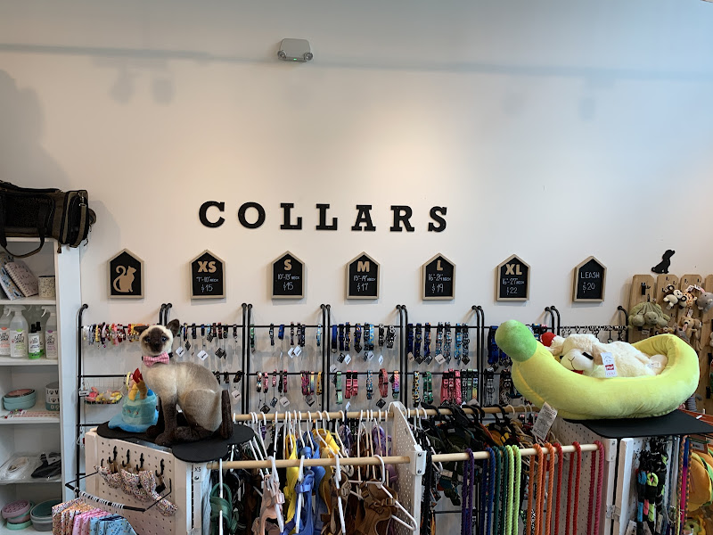 Lula Pup Shop