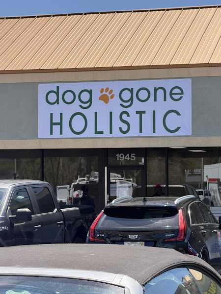Dog Gone Holistic