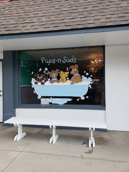 Pups-N-Suds