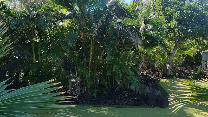 Kings' Shops Lakeside Putting - an exhibit of the Hawai’i Keiki Museum