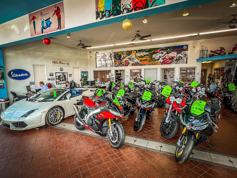 REINA INTERNATIONAL AUTO