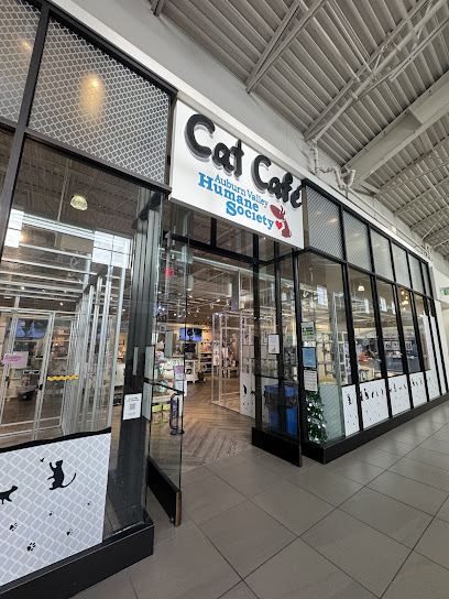Auburn Valley Humane Society Cat Café