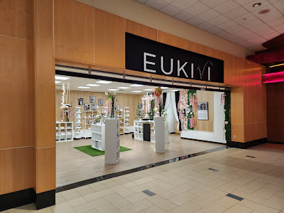 Eukivi