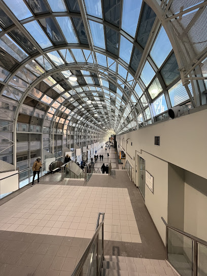SkyWalk