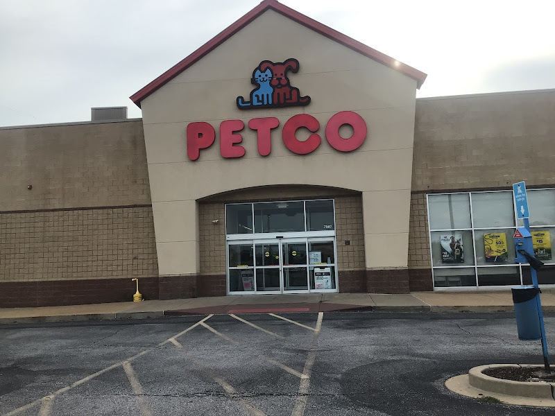 Petco Grooming