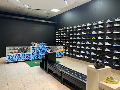Xclusive Sneakers