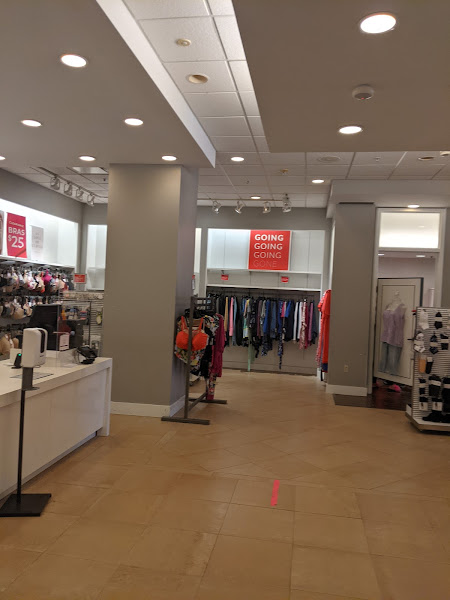 Lane Bryant
