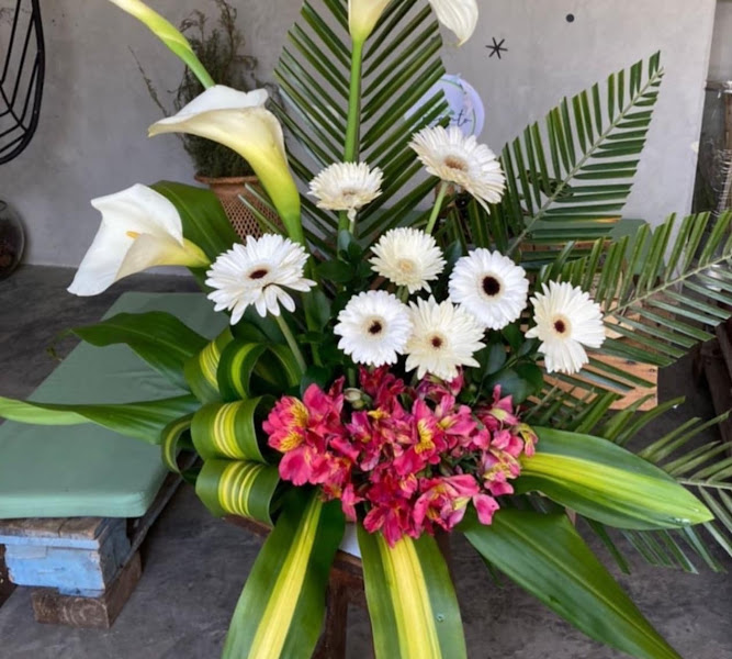 Mrning Breeze Flowers & Gifts