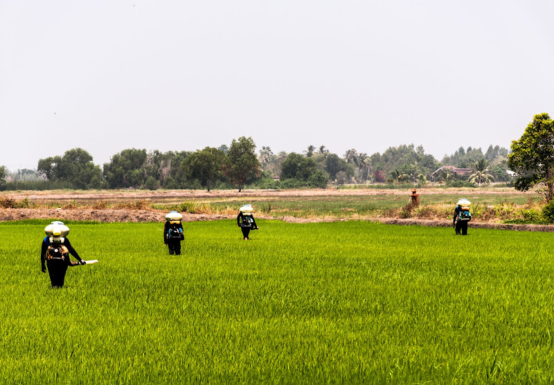 Wulan Agro Seeds Enterprises