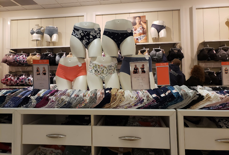 Lane Bryant