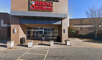 Avis and Budget Car Rental