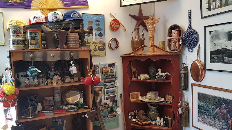 The Curio Shoppe