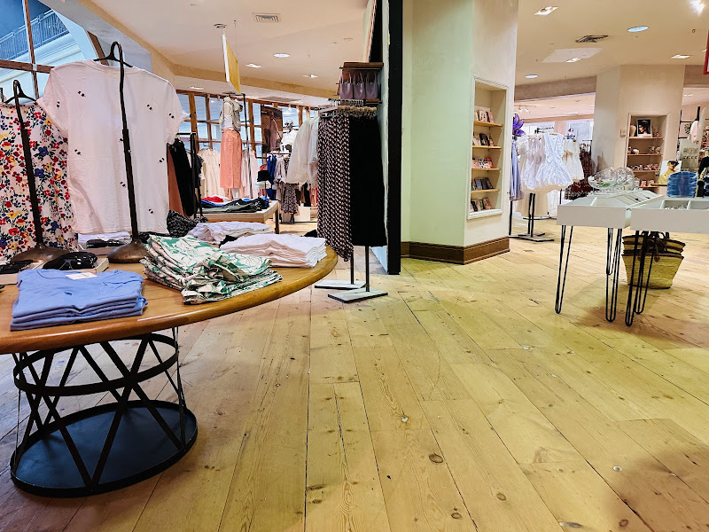 Anthropologie