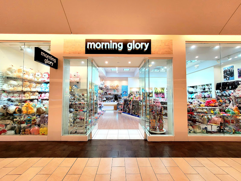 Morning Glory