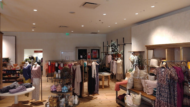 Anthropologie