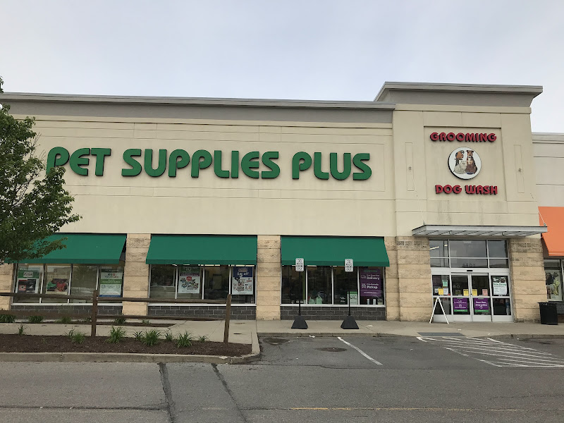 Pet Supplies Plus