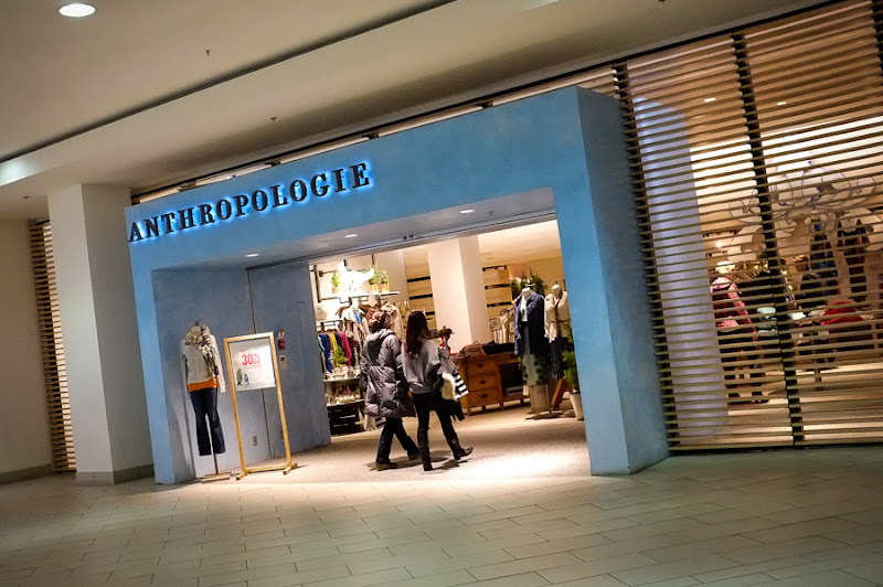 Anthropologie