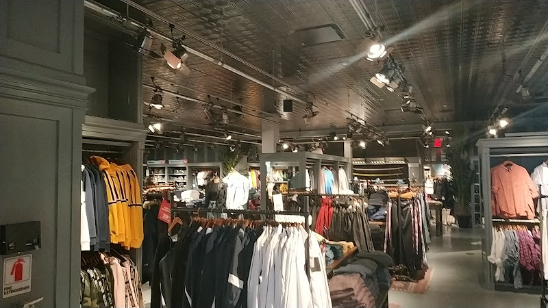 Hollister Co.