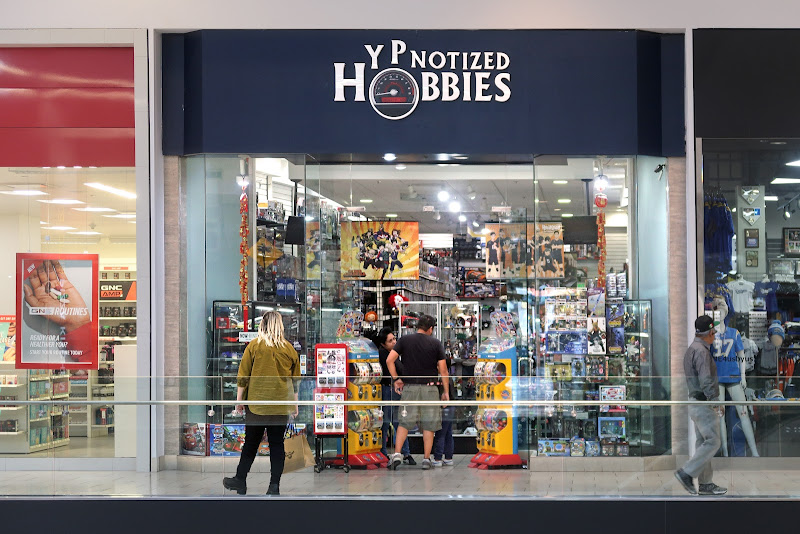 Hypnotized Hobbies