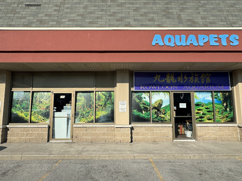 Kowloon aquarium (aquapets)