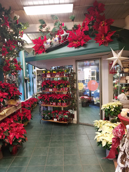 Royer's Flowers & Gifts