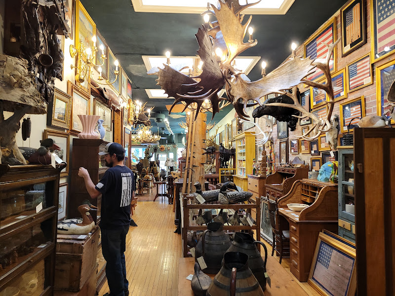 Cisco's Gallery