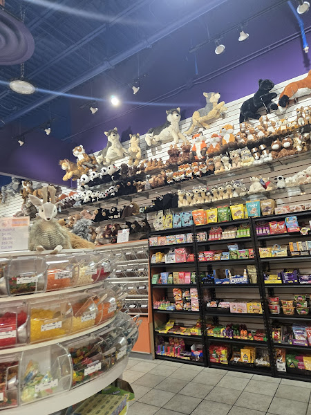 Sweet Treats Candy