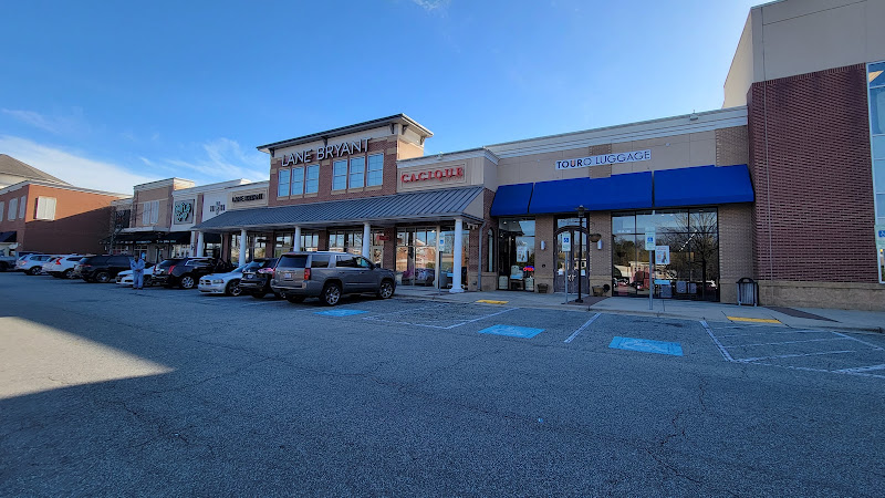 Lane Bryant