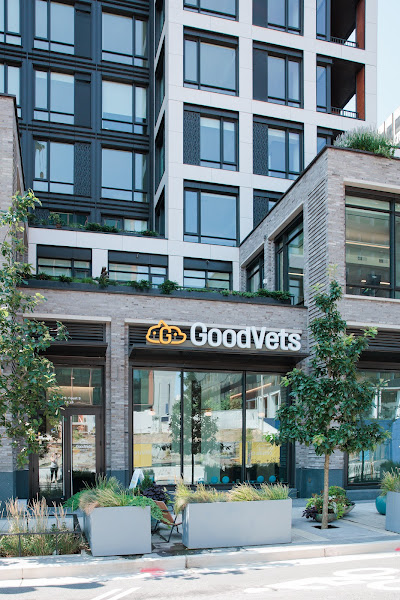GoodVets Crystal City