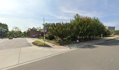 DMC Rehabilitation Institute of Michigan
